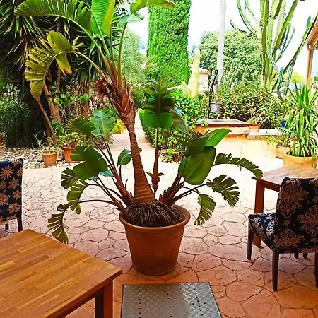 Palacio Sant Salvador Hotel